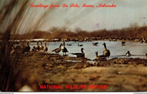 Nebraska Blair De Soto National Wildlife Refuge 1977