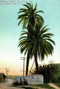 c.1910 German Mission Palms San Diego, California P164 