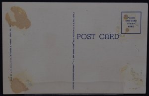 Black Hills, SD - The Needle's Eye