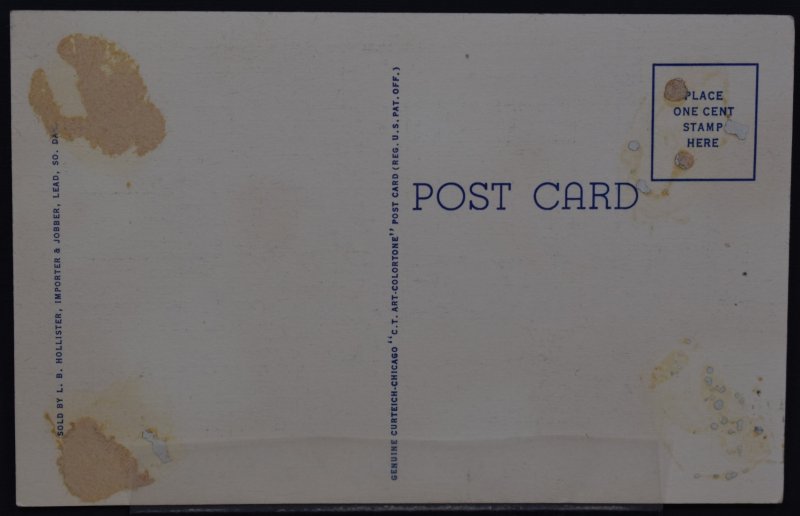 Black Hills, SD - The Needle's Eye