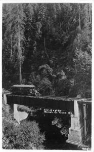 Mendocino California Western Railroad CWNC RPPC Postcard 8866