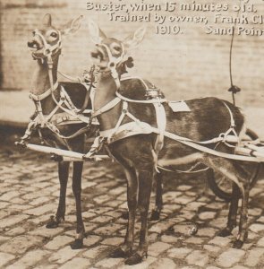 Kansas City RPPC 1911 CROSS-COUNTRY TRAVELER Deer Team LONG DISTANCE PPIE EXPO