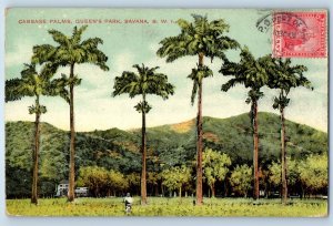 Port of Spain Trinidad Postcard Cabbage Palms Queens Park Savannah c1910 Posted