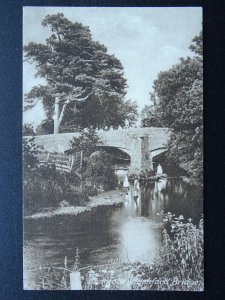 Devon Dartmoor CHAGFORD Children at Rushford Bridge c1907 B/W Postcard by Frith