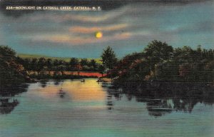 CATSKILL, New York NY ~CATSKILL CREEK Moonlight NIGHT Greene Co ca1940s Postcard