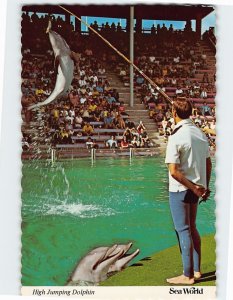 Postcard High-Jumping Dolphin, Sea World