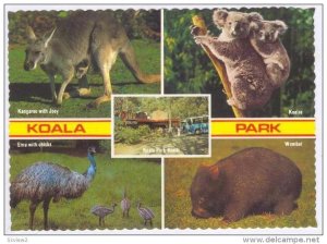 KOALA Park, Castle hill Road West Pennant Hills, Australia, 60-70s