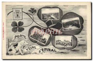 Old Postcard Fancy Souvenir d & # 39Epinal Pig Pig