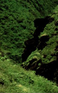 Hawaii Maui Iao Valley John F Kennedy Profile