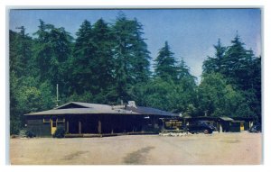 BIG SUR, CA California ~ Roadside REDWOOD LODGE & CAMP  c1940s Cars Postcard