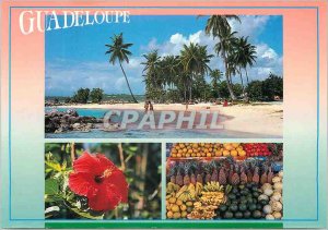 Postcard Modern Guadeloupe Under the sun of the Caribbean