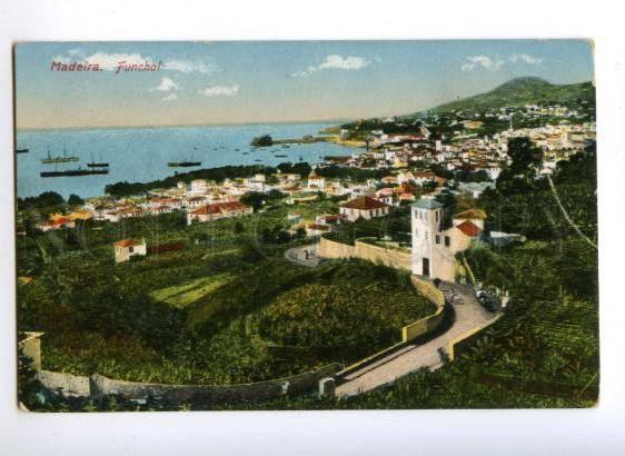 171928 PORTUGAL MADEIRA Funchal view Vintage postcard