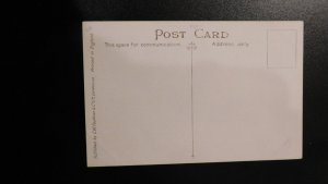 Mint USA Advertising Postcard Loading Elephant Eadella Tea Estate Ceylon Lipton