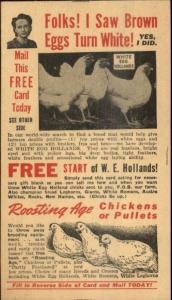 Agriculture Chickens Pullets Rucker's Imperial Breeding Farms Ottumwa IA PC