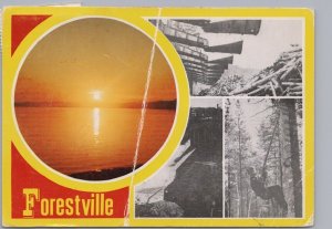 Forestville, Quebec, 1984 Chrome  Multiview Postcard, 4 Views