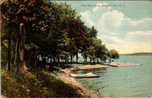 Five Mile Point,Otaego Lake,New York BIN