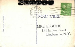 Coconut Palm Trail Florida Bayou Postcard