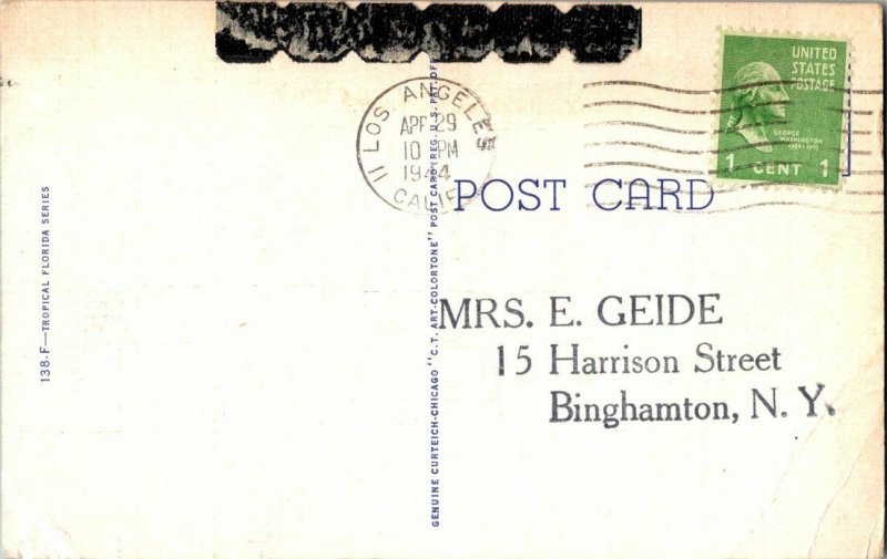 Coconut Palm Trail Florida Bayou Postcard