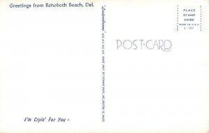 Rehoboth Beach Delaware Greetings Baby Portrait Crying Postcard AA39897