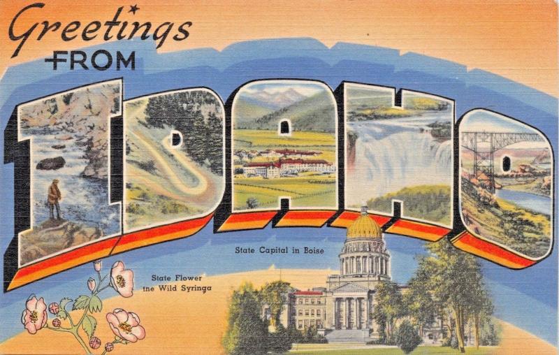 5 LARGE LETTER POSTCARDS 1940s WASHINGTON-COLORADO-IDAHO-MICHIGAN-MONTANA