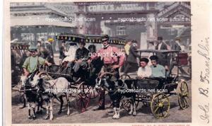 Goat Carriages, Coney Island NY