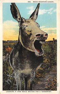 Laughing Donkey Donkey 1927 