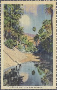 PALM CANYON LINEN NEAR PALM SPRINGS CALIFORNIA