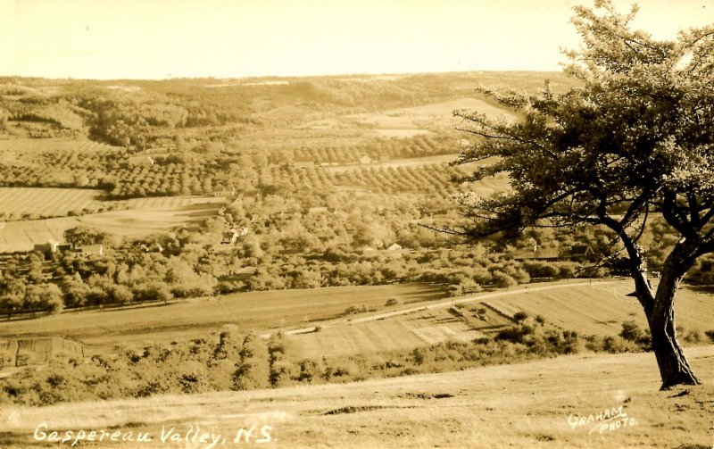 Canada - Nova Scotia, Gaspereaux Valley     *RPPC