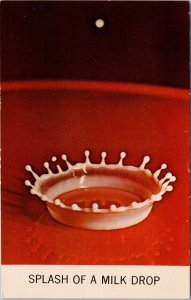 Splash of Milk Drop High Speed Photo Unused Edgerton MIT Vintage Postcard H61