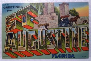 Greetings From St Augustine Florida Large Letter Linen Postcard Curt Teich Horse