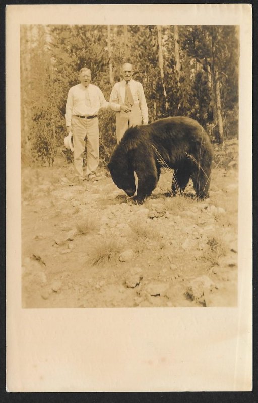 Two Older Men & A Bear RPPC Used c1938