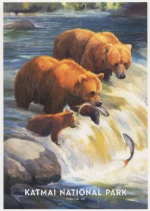 Katmai National Park Bears Catching Salmon Fish Waterfalls USA Postcard