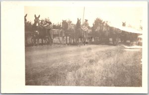 Horse Cart Pulling Transportation Stock Farm Scene RPPC Photo Postcard