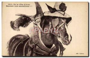 Old Postcard Donkey Mule Cote d & # 39Azur