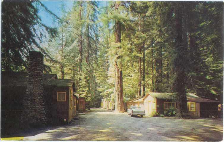 Redwood Lodge & Camp Big Sur South of Carmel California CA