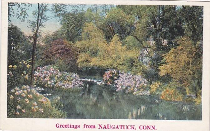 Connecticut Greetings From Naugatuck 1933