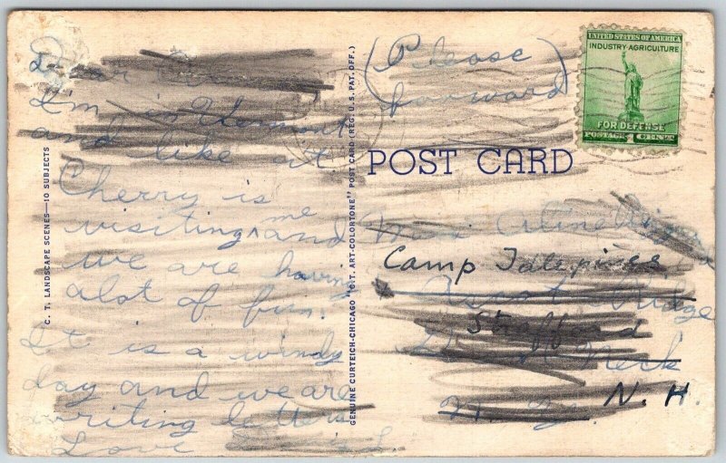 Arlington Vermont 1944 Greetings Postcard Tree Lined Road