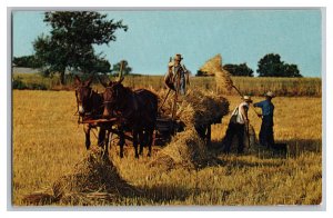 Postcard PA Heart Of Amishland Golden Harvest Time Vintage Standard View Card