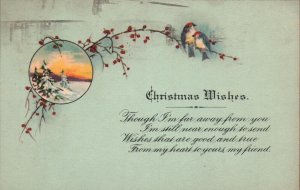 Christmas Wishes Birds on Holly Branch Holiday Religious Vintage Postcard c1910