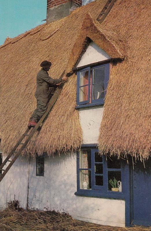 African Thatcher in Britain Thatching Crafts Postcard