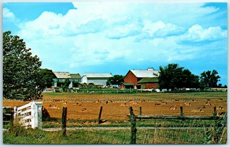 Postcard - An Amish Farm, Pennsylvania 