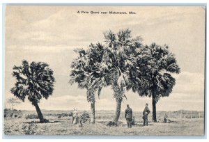 c1910 A Palm Grove Near Matamoros Tamaulipas Mexico Antique Unposted Postcard