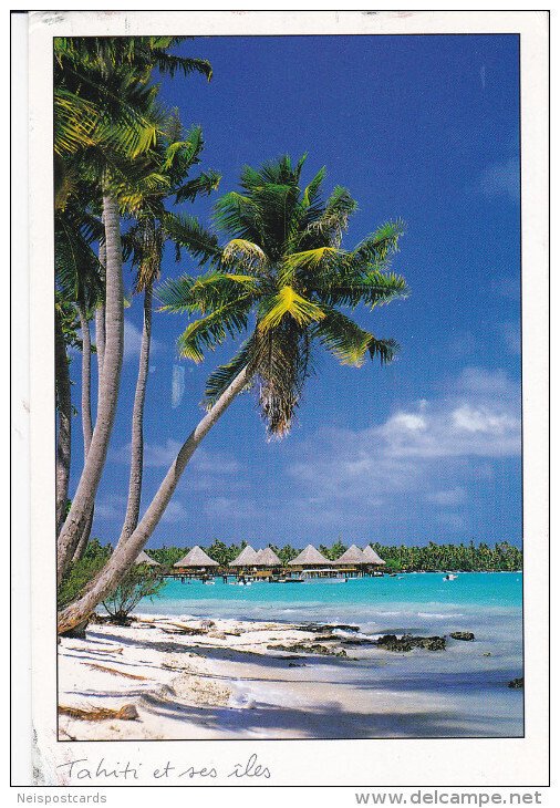 Plage de Polynesie , LA VAGUE de TEAHUPOO , Pu-2000