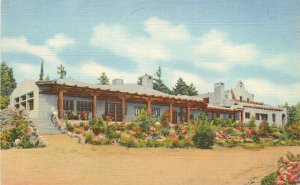 Postcard New Mexico Las Vegas 1940s El Porvenir Lodge Willis Teich 23-651 