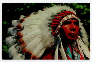 Postcard Indian Chief Standard View Card 