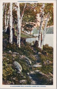 Muskoka Ontario Lake Shore Trail ON Unused Anderson's Series Postcard H54