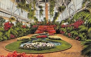 ST LOUIS, MO Missouri  THE JEWEL BOX~Forest Park  FLOWER GARDEN  1945 Postcard