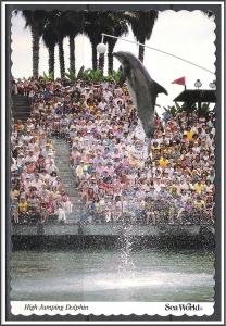 United States - Sea World High Jumping Dolphin - [MX-090]