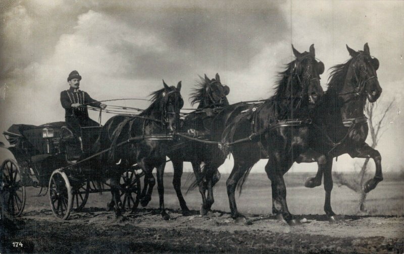 Magyarország Hungary Four in Hand RPPC 05.46