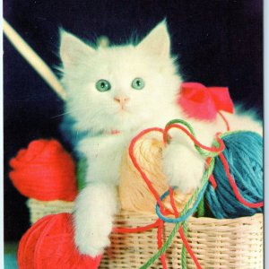 c1950s Oakwood, OH Greetings Adorable Cute White Kitten Yarn Chrome Photo A144